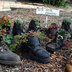 Mala Botanická zahrada, Těsně před vstupem do opravdové botanické zahrady je instalována v jedné předzahrádce tato Bota-nická zahrádka