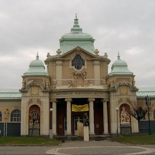 expozice Lapidária Národního muzea, Dnešní expozice Lapidária Národního muzea seznamuje návštěvníka v úvodních vitrínách se způsobem těžby, s užitím a zpracováním hornin využívaných pro kamenosochařské práce a s péčí o poškozené kamenné artefakty. V další