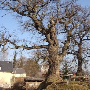 Tvrziště 3, Je pravděpodobné, že tvrz vznikla mimo jiné k ochraně sedlecké stezky. První písemné zprávy máme až z let 1457 a 1462, kdy je zmiňován jistý Arkl Tussel „de Stalticz“ či později „de Talticz“. Později získali dalovické léno příslušníci rodu Hýz