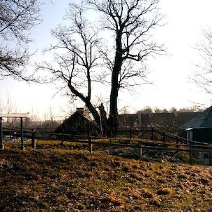 Tvrziště 21, Je pravděpodobné, že tvrz vznikla mimo jiné k ochraně sedlecké stezky. První písemné zprávy máme až z let 1457 a 1462, kdy je zmiňován jistý Arkl Tussel „de Stalticz“ či později „de Talticz“. Později získali dalovické léno příslušníci rodu Hý