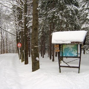 Linhart 27, Lesní kavárna a restaurace. Oblíbené výletní místo T. G. Masaryka. V blízkém okolí můžeme narazit na zbytky staveb původní osady Obora, která se nacházela na území královského loveckého revíru hradu Loket. Na tomto území byl v roce 1246 vysvěc