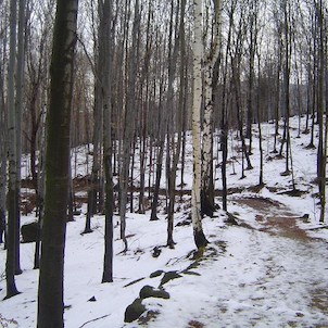 Oldřichovské háje