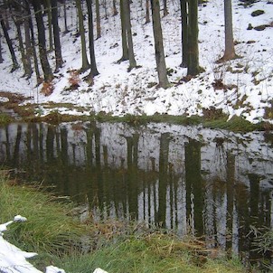 Oldřichovské háje