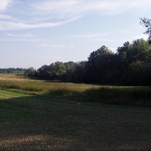 hořina, louky kolem hořiny