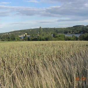 Pohled na Plumlovskou přehradu