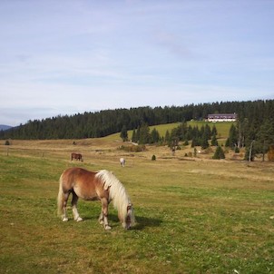 Horská Kvilda