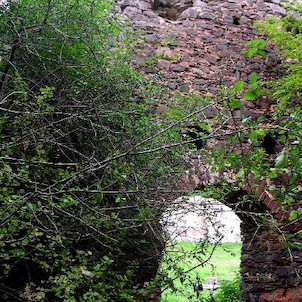 Krasíkov, zbytky hospodářských budov