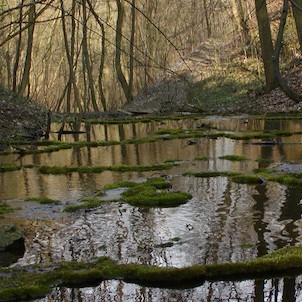 Koda - travertinová jezírka na potoce v Kodské rokli