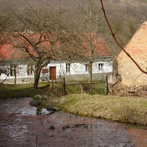 Koda-sousední rybník, který zamrzá