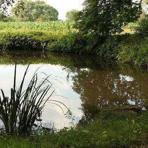 Hrbáčkovy tůně - Černá