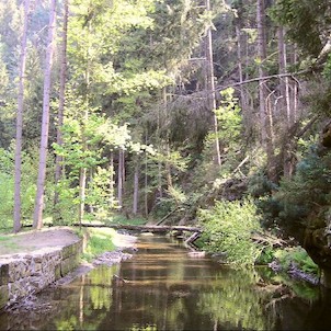 Chřibská Kamenice, Na začátku rezervace.