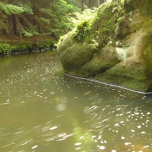 v údolí, Chřibská Kamenice