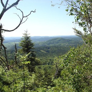 Jedlová, cestou na vrchol