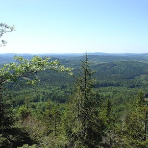 Jedlová, cestou na vrchol