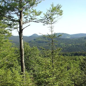 Jedlová, cestou na vrchol