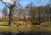 zámecký park