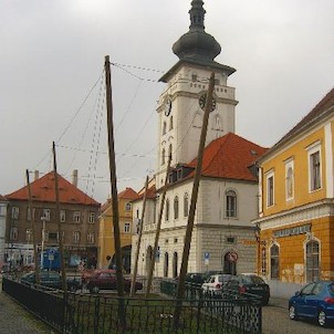 Chmelnice a Radnice, Nejmenší chmelnička na světě - V místech kostela Sv. Kříže stojí od roku 1967 místní rarita - nejmenší chmelnička na světě!