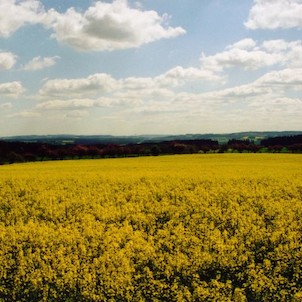 sommer in vysocina