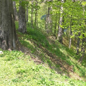 valy kolem Hostýna, Valy po keltském oppidu o délce 2 km kolem celého vrcholu