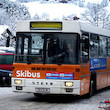 Skibus Centrum Černý Důl - Ski areál
